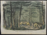 Print titled "Gathering Turpentine in the Forests of North Carolina"